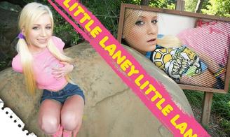 Load this preview and view membership